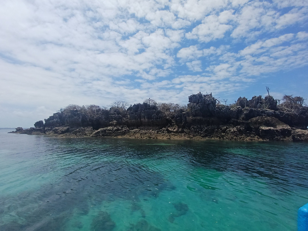 Safari Shwari Mafia Island-Utende必去景点