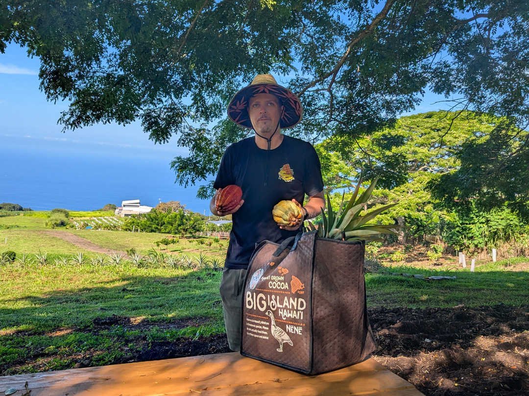 Puna Chocolate Company-凯鲁瓦-柯纳必去景点