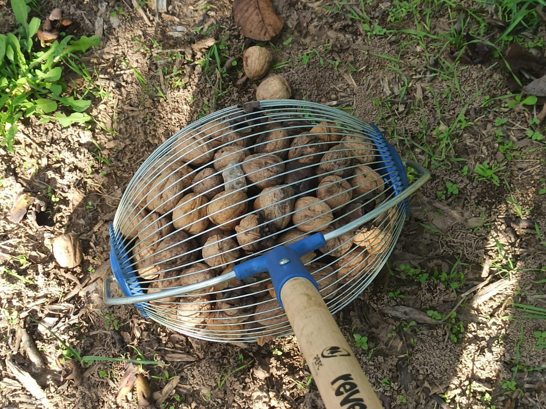 Cooperativa De Viver-Viver必去景点