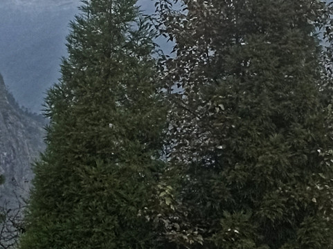 Jain Group Lachung Eyes主图