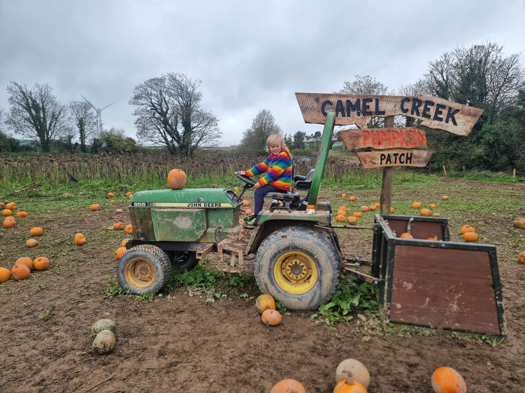 Camel Creek Family Adventure Park-Wadebridge必去景点