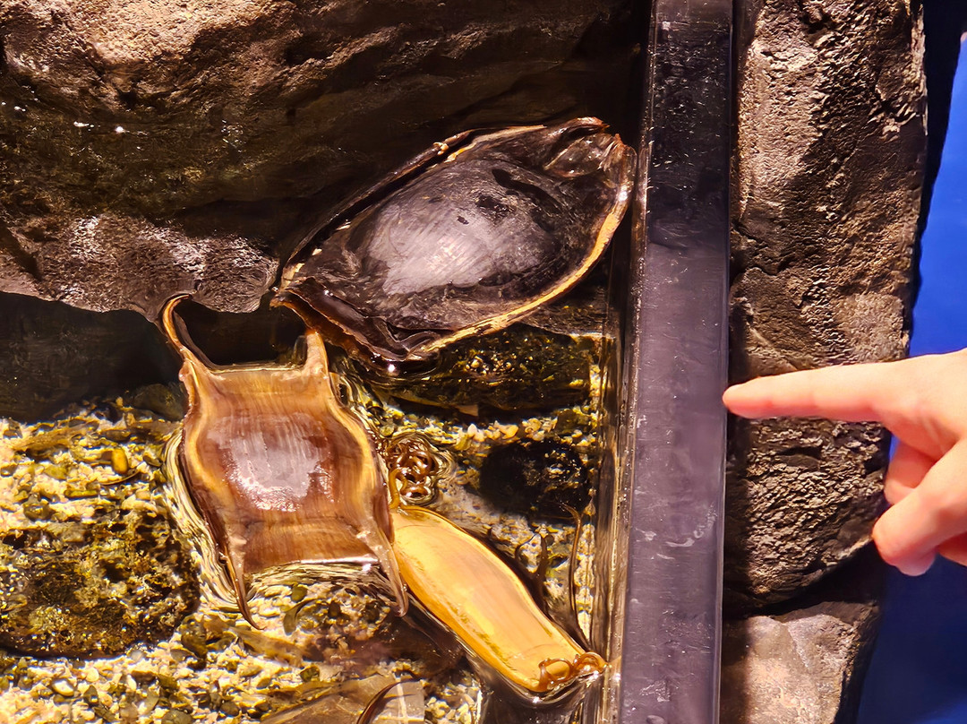 SEA LIFE Konstanz-康士坦茨必去景点