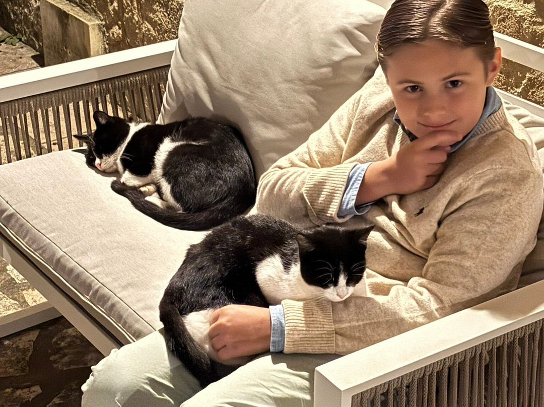 Masseria Vittoria主图