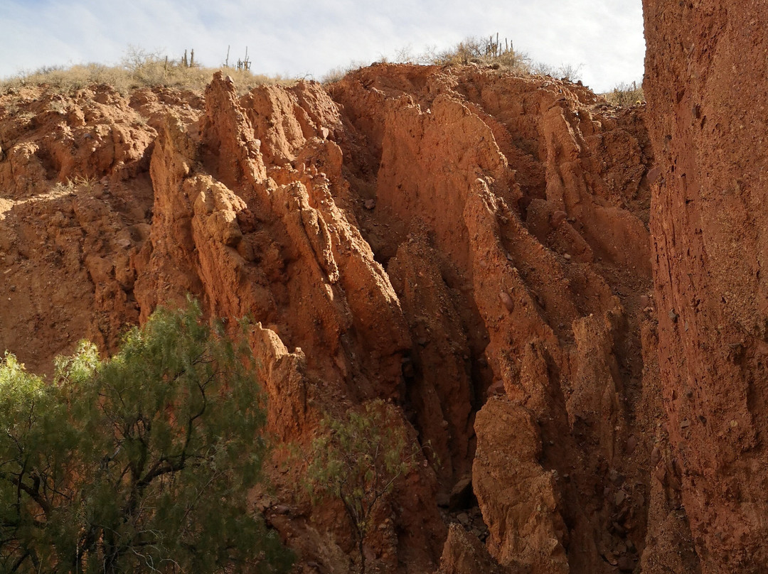 Green Planet Etno Eco Travel-Tupiza必去景点