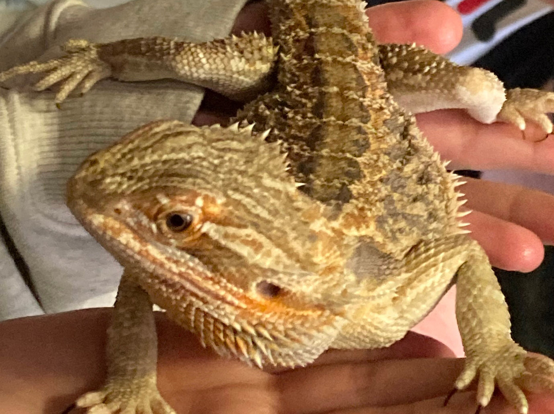 The Funky Farm-Hastings必去景点