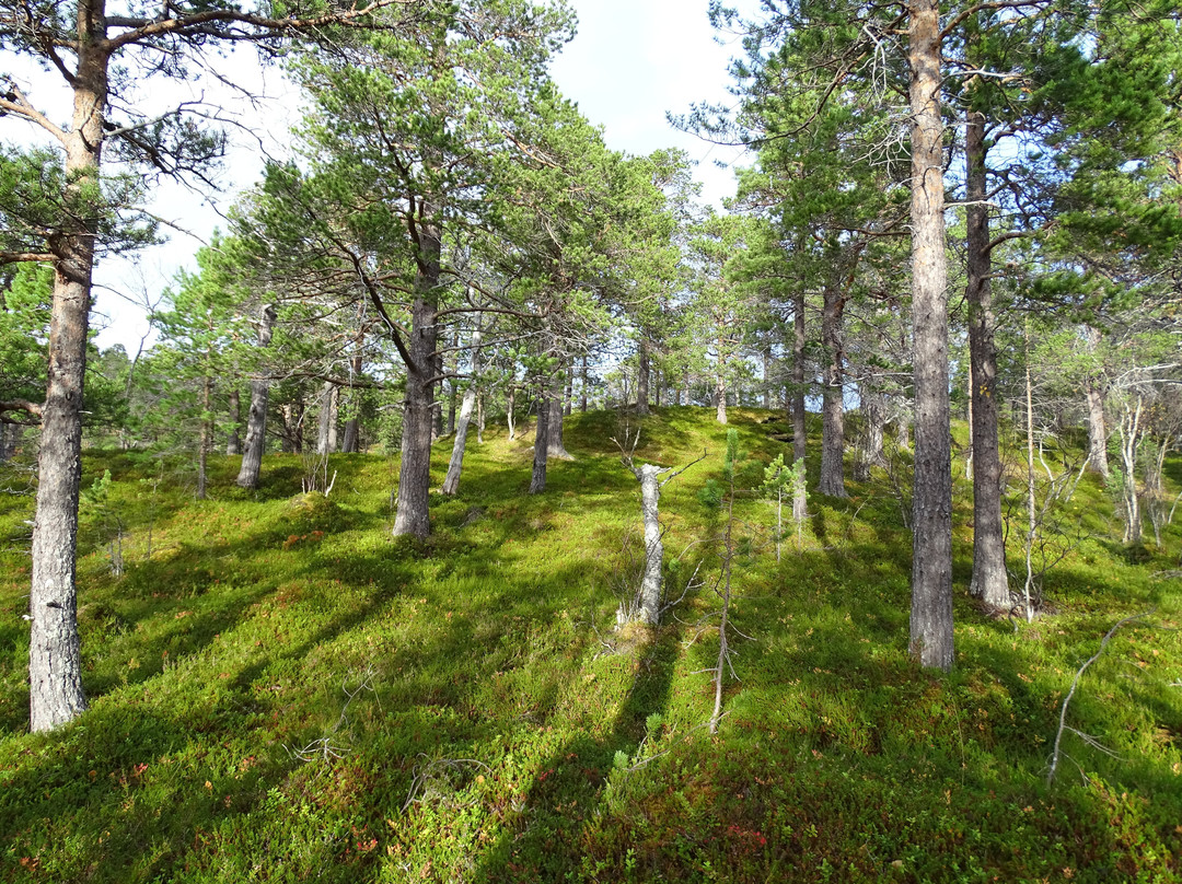 Guide Trek Alps - Viaggi nel Mondo-Saint-Vincent必去景点