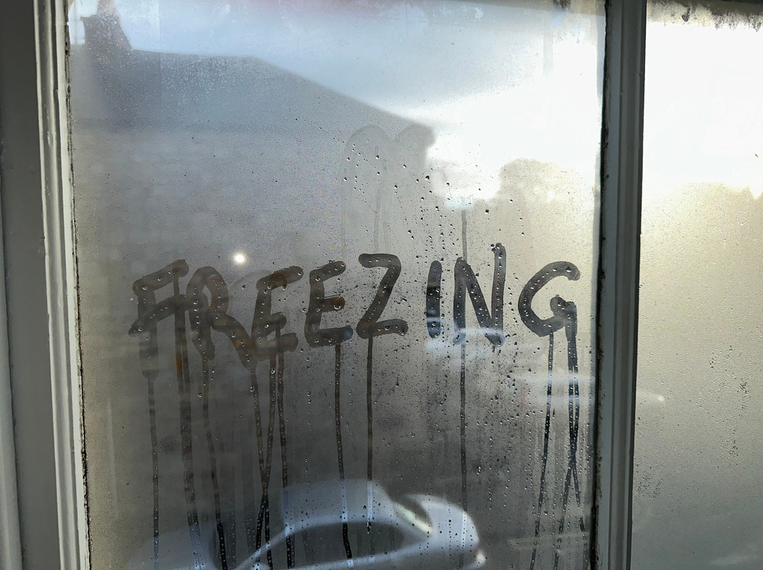 The Queens Head主图