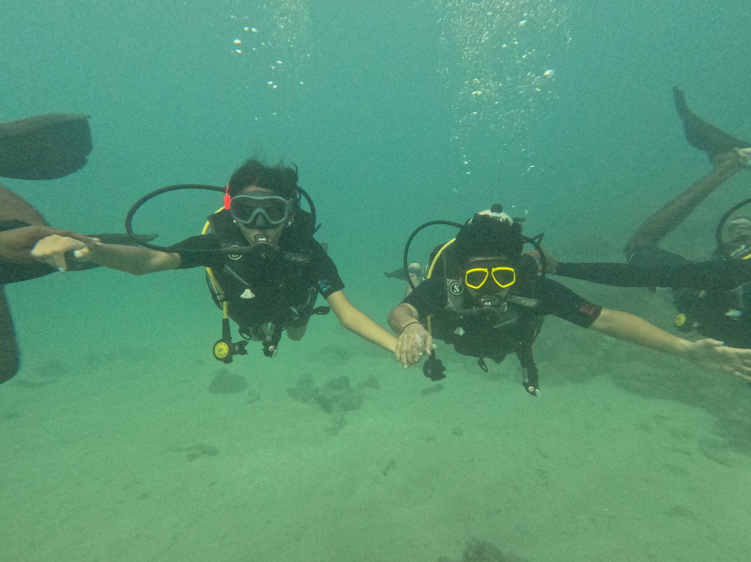 Turquoise Dream | PADI Dive Centre-Neil Island必去景点
