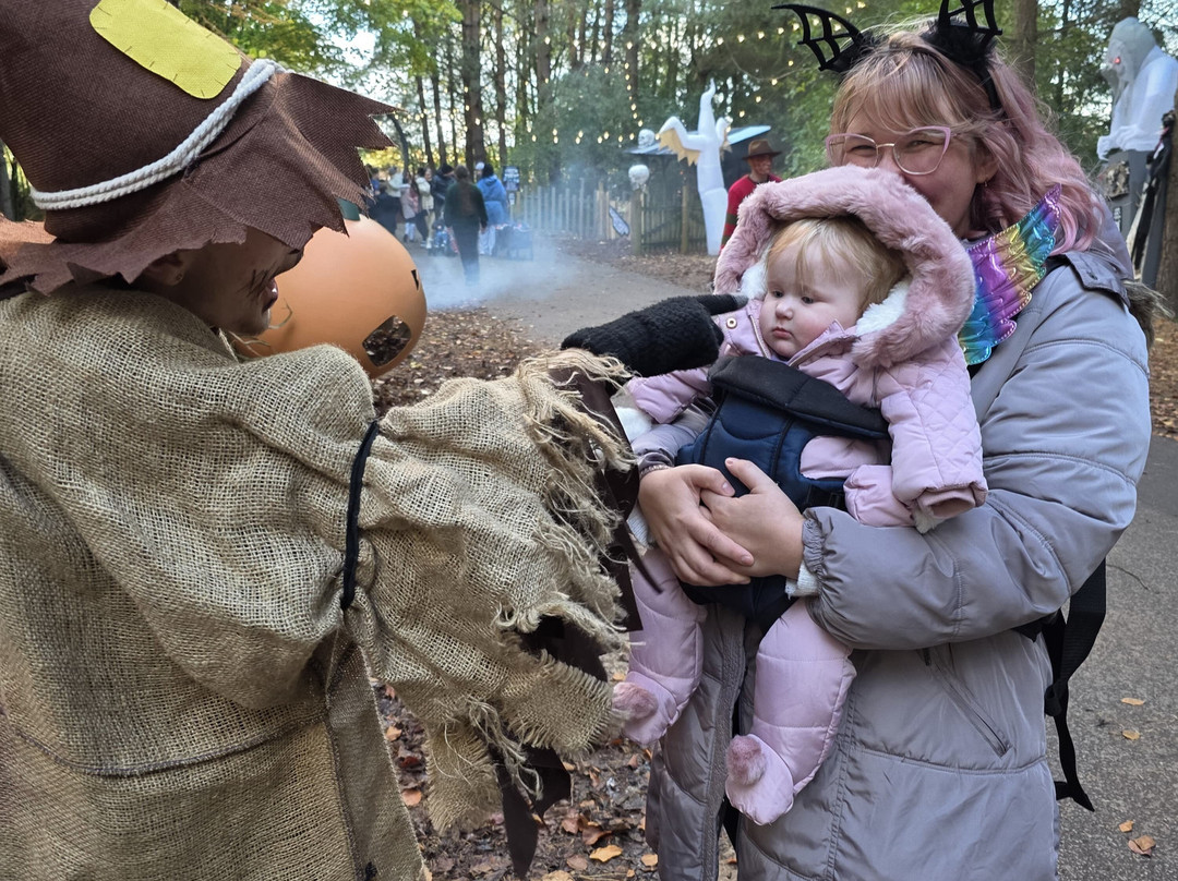 Lightwater Valley Family Adventure Park-North Stainley必去景点