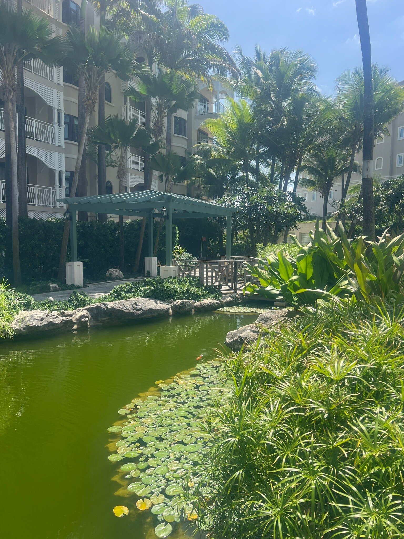 The Crane Resort-官方