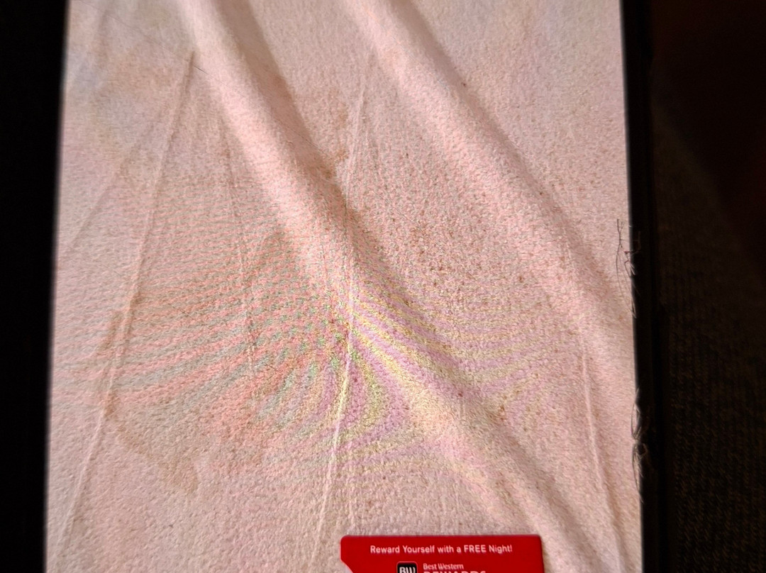 Aiden By Best Western Stadtgut Hotel Steyr主图