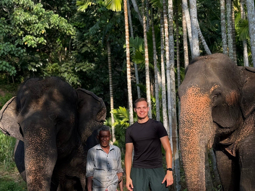 Elephant Freedom Project-凯格勒 必去景点