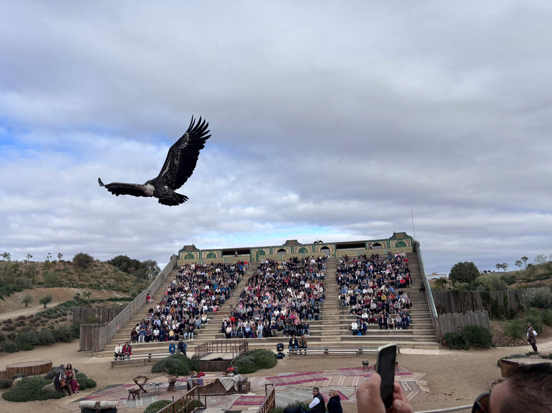 Puy Du Fou España-托莱多必去景点