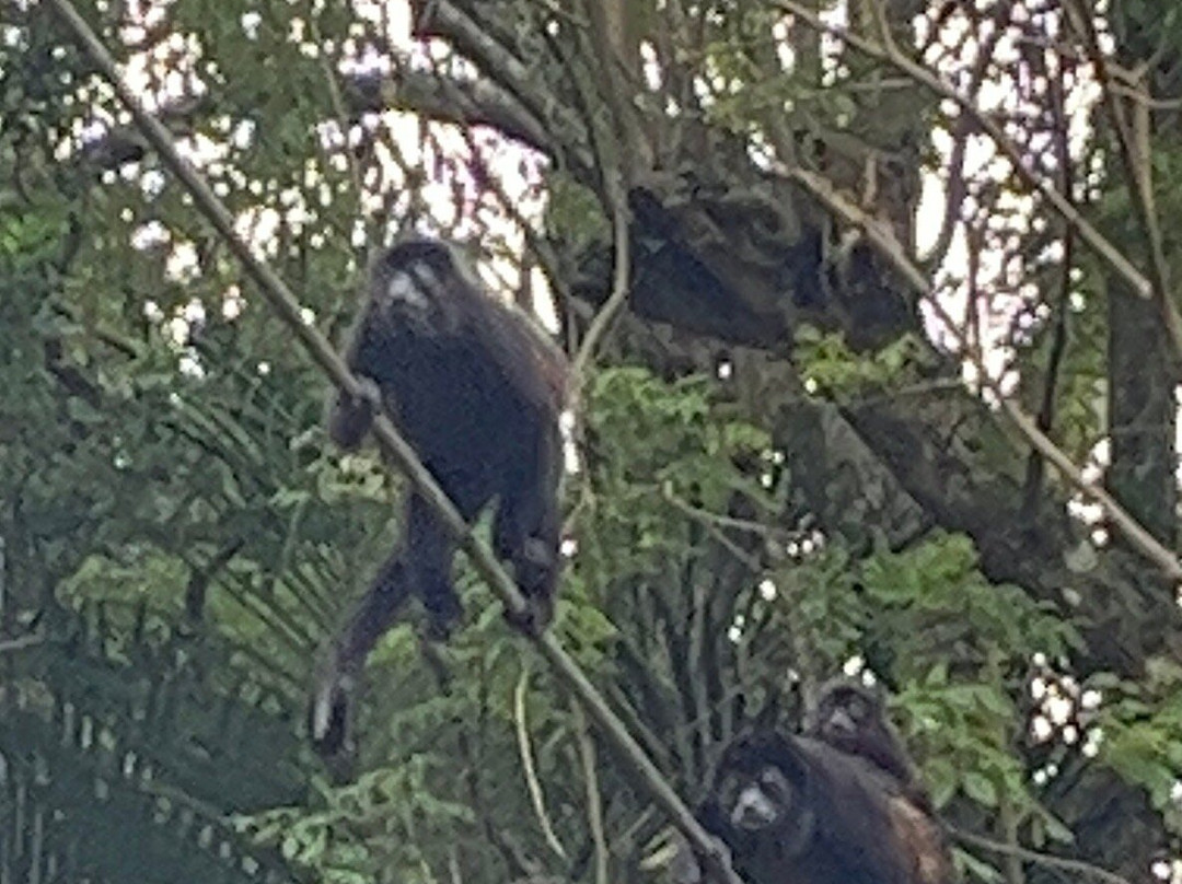 Costa Ride CR-Baru必去景点