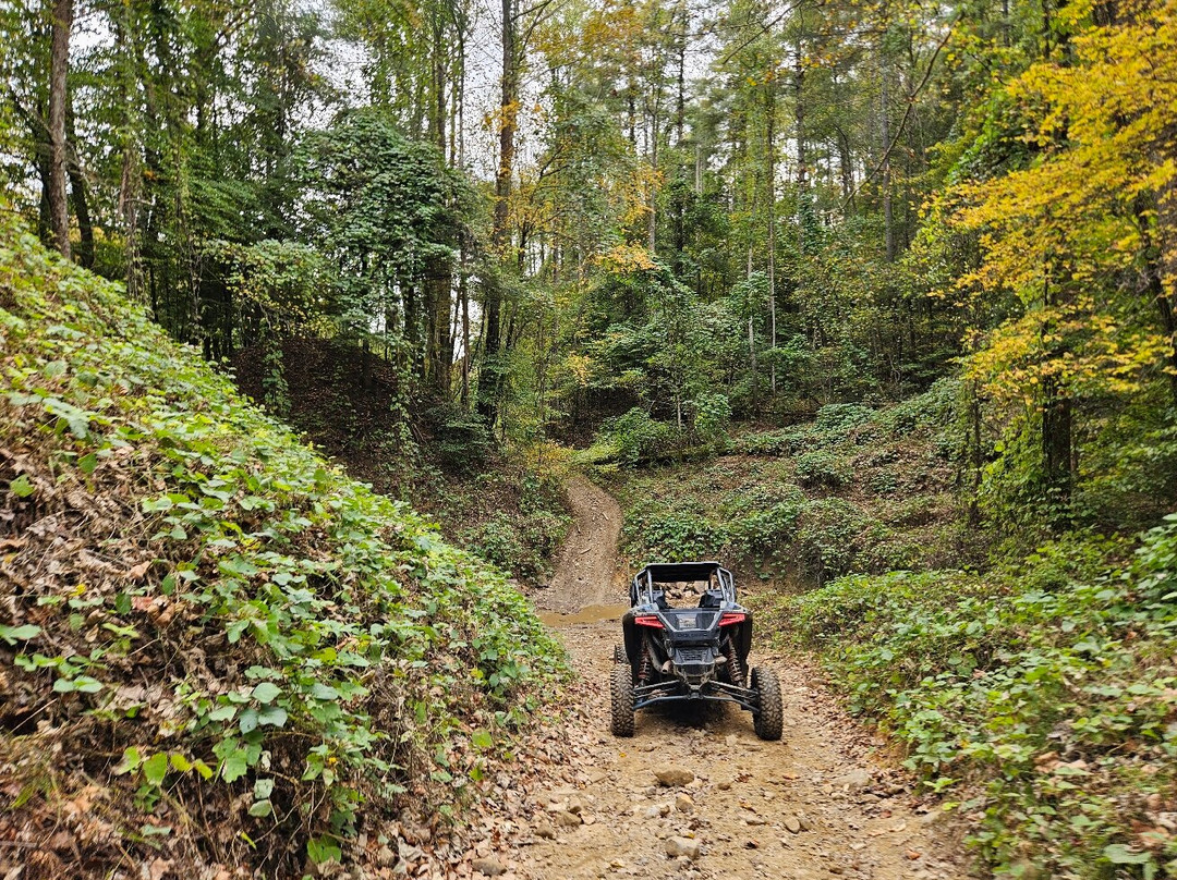 Out the Top Adventures-Campton必去景点