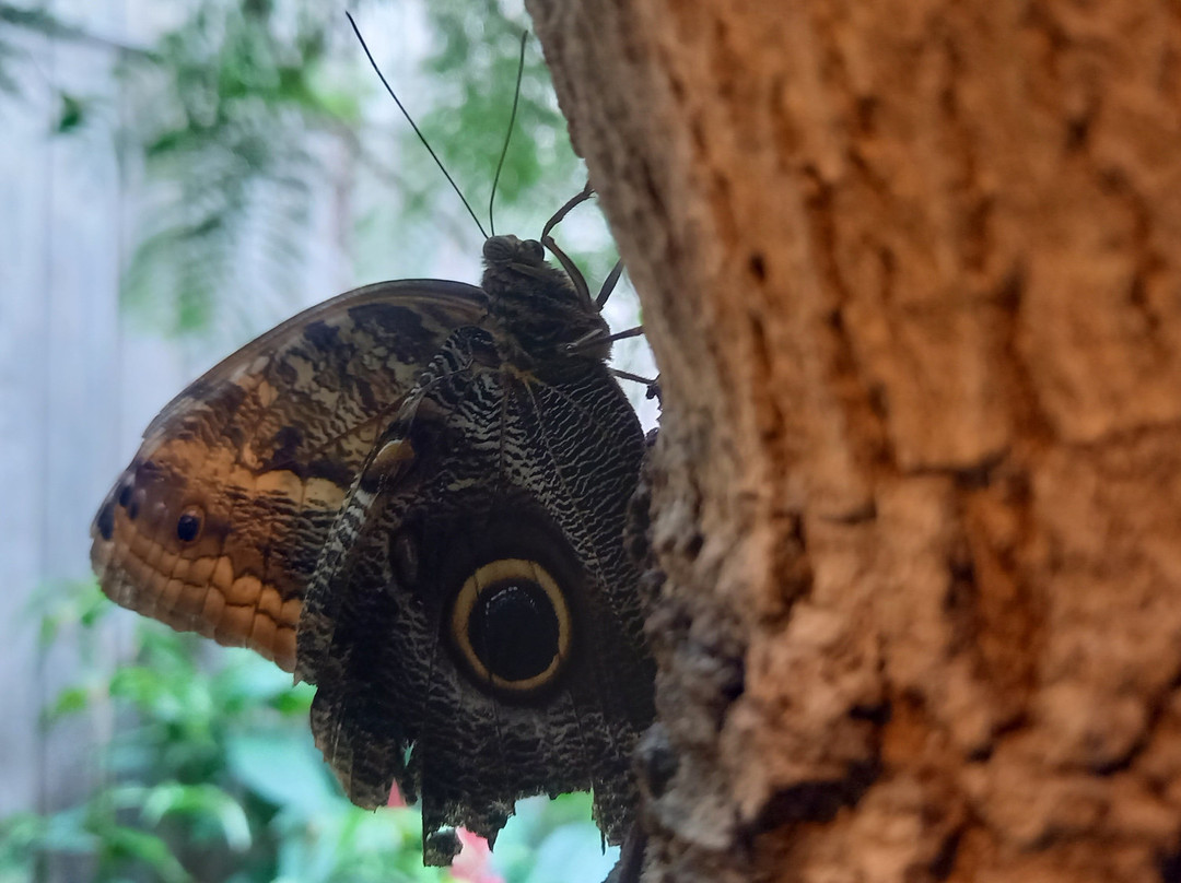 昂热植物园-昂热必去景点