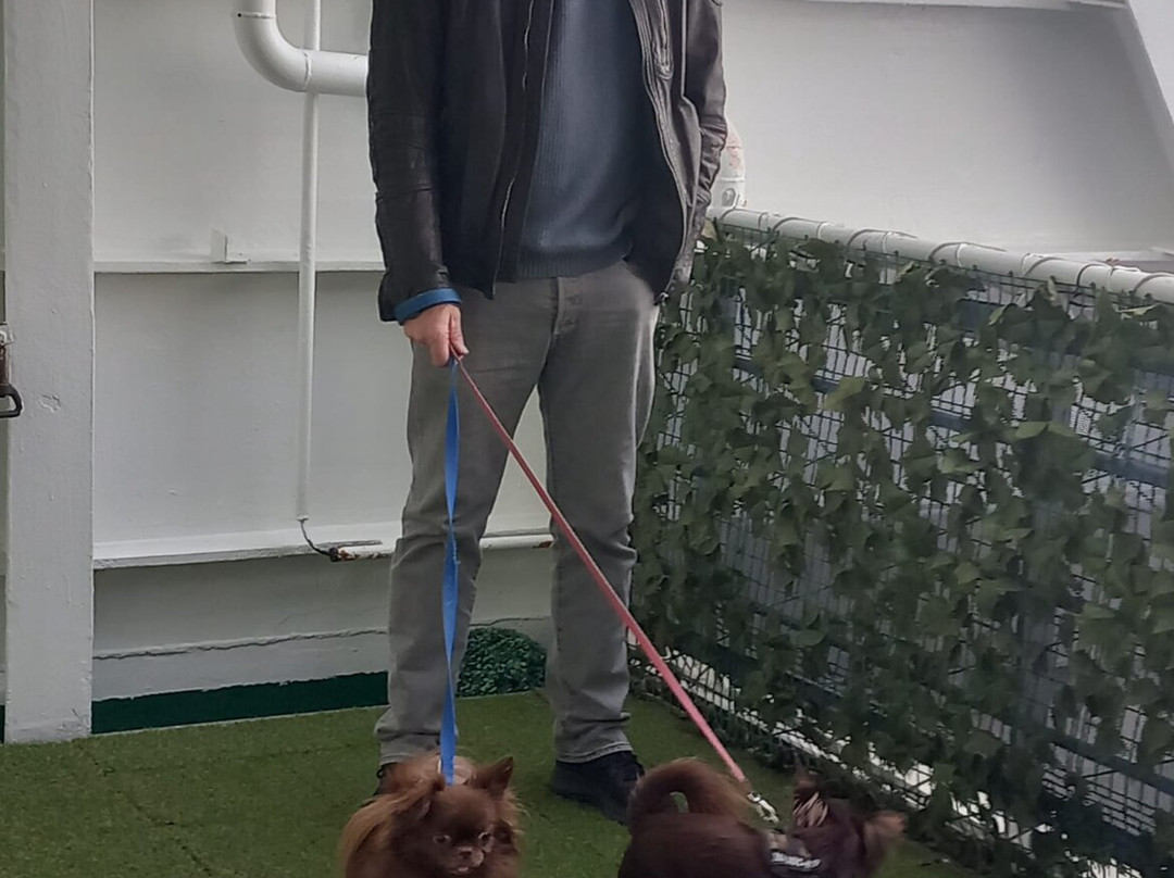 DFDS Seaways-Ijmuiden必去景点