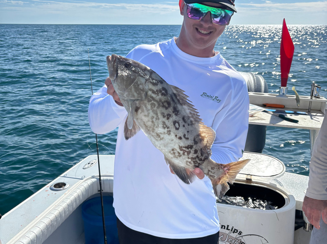 RippinLips, LLC-Holmes Beach必去景点