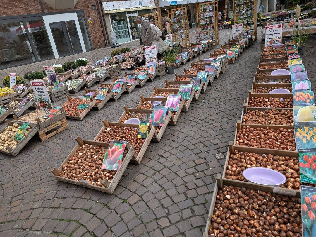 Unser Lieben Frauen Kirchhof-不莱梅必去景点