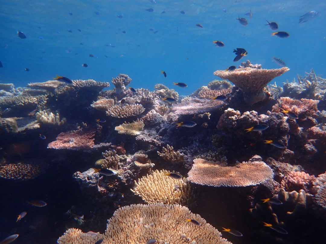 波长礁-道格拉斯港必去景点