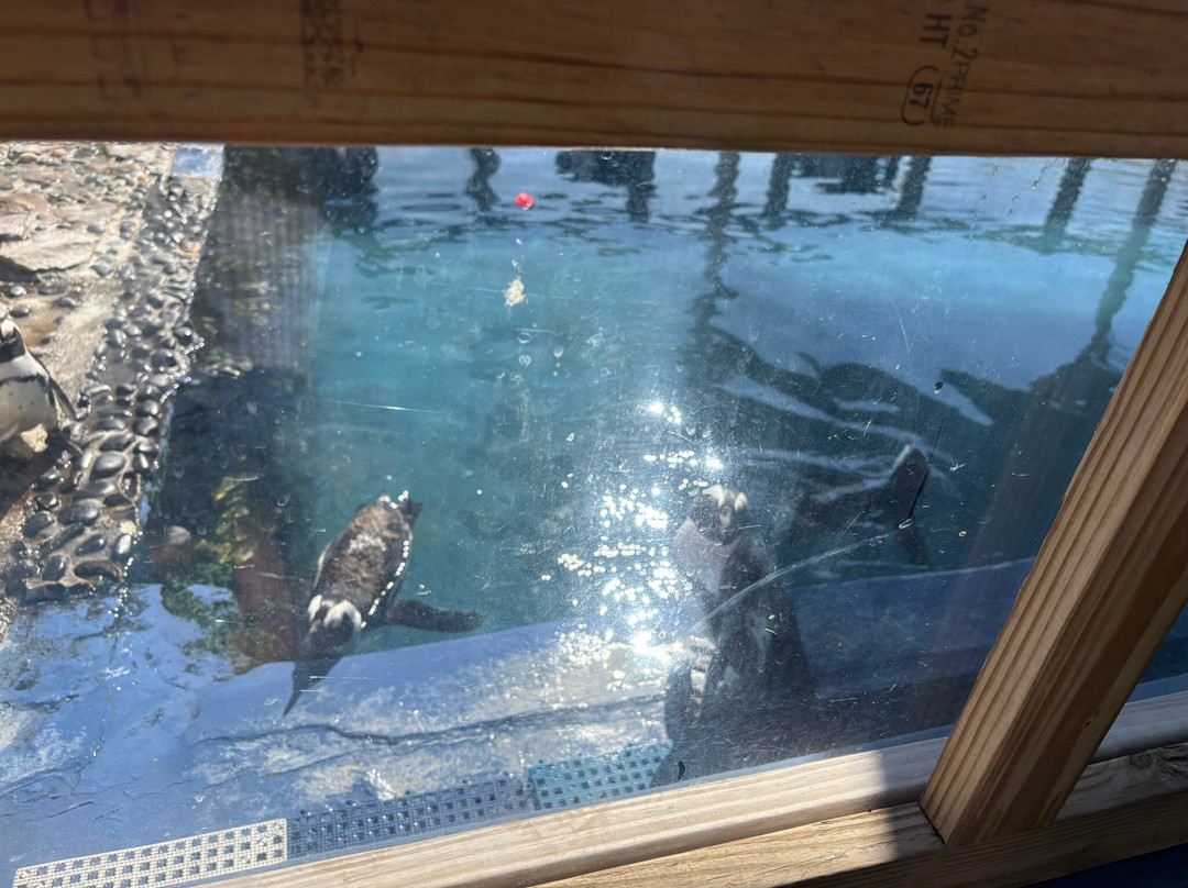 Gulfarium Marine Adventure Park-华尔顿堡滩必去景点