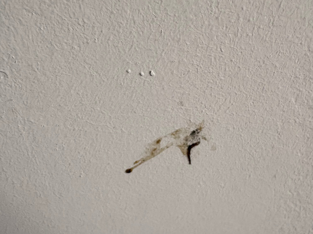 麦克唐纳德老英格兰酒店&SPA主图