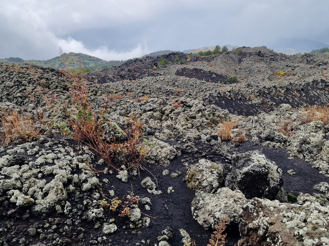 The Etna volcano on Sicily-林瓜格洛萨必去景点