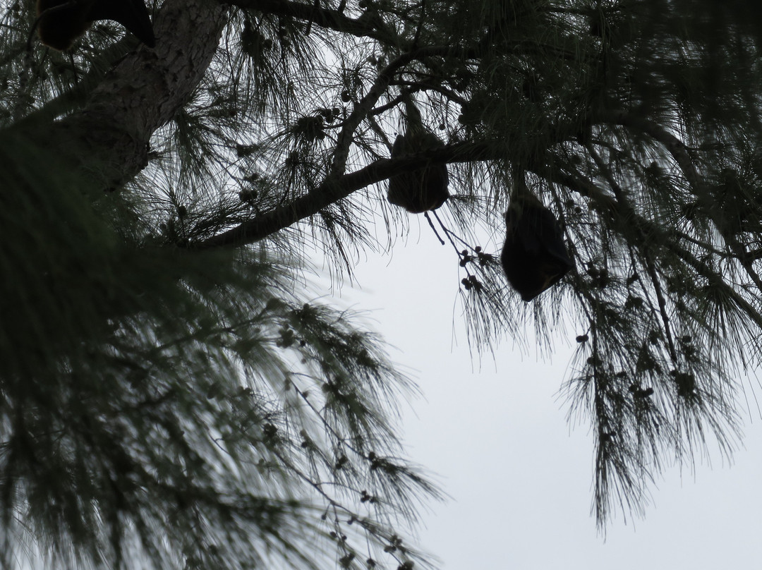 Belle Mare Beach-贝尔马尔必去景点