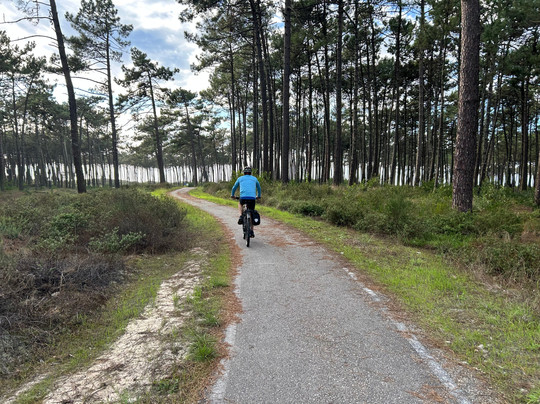 Pedalquest Tours-里斯本必去景点