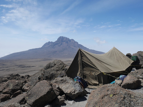 Gladys Adventure & Safari-莫西必去景点