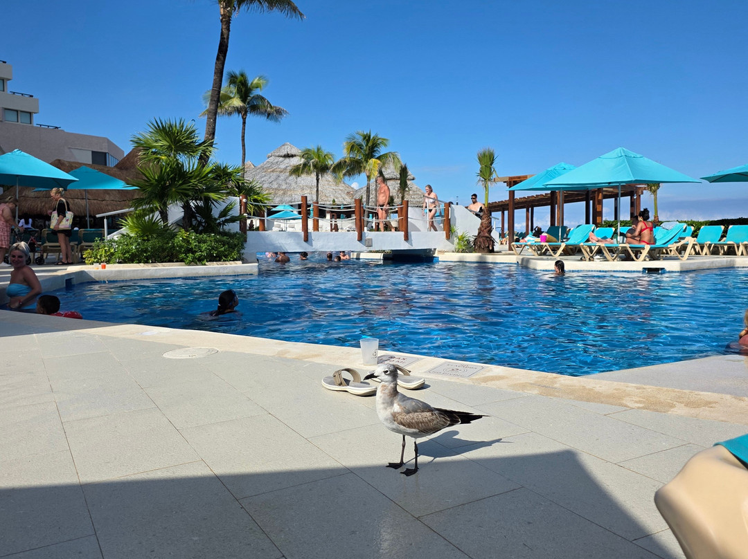 Agencia de Viajes Travel Oly-奇瓦瓦州必去景点