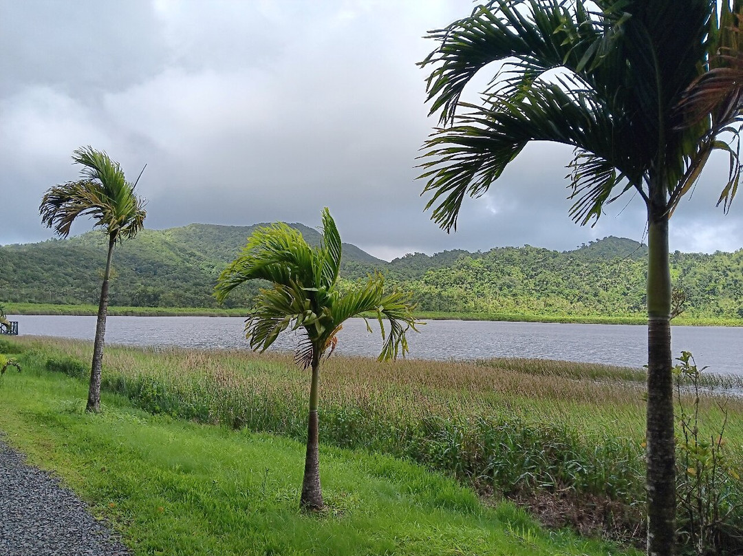 Grand Etang Lake-Grand Etang National Park必去景点