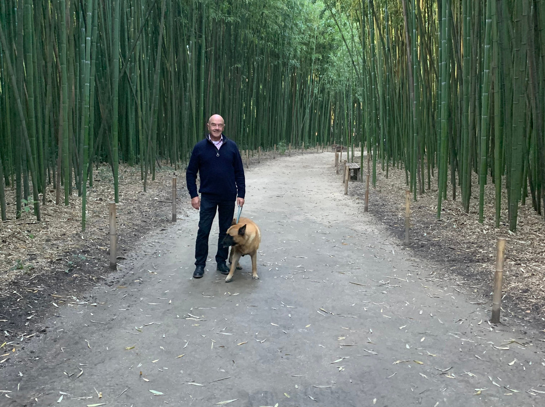 La Bambouseraie En Cévennes-Generargues必去景点