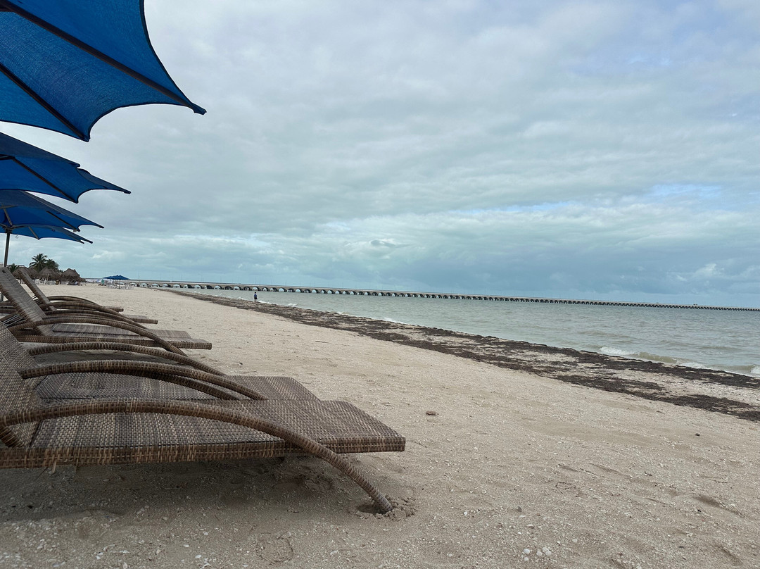 Hotel Scappata主图