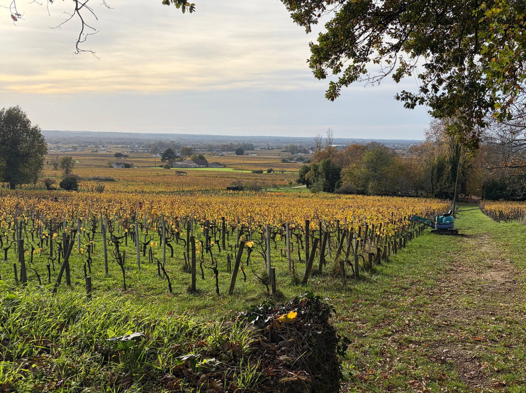 Château Coutet-圣埃美隆必去景点