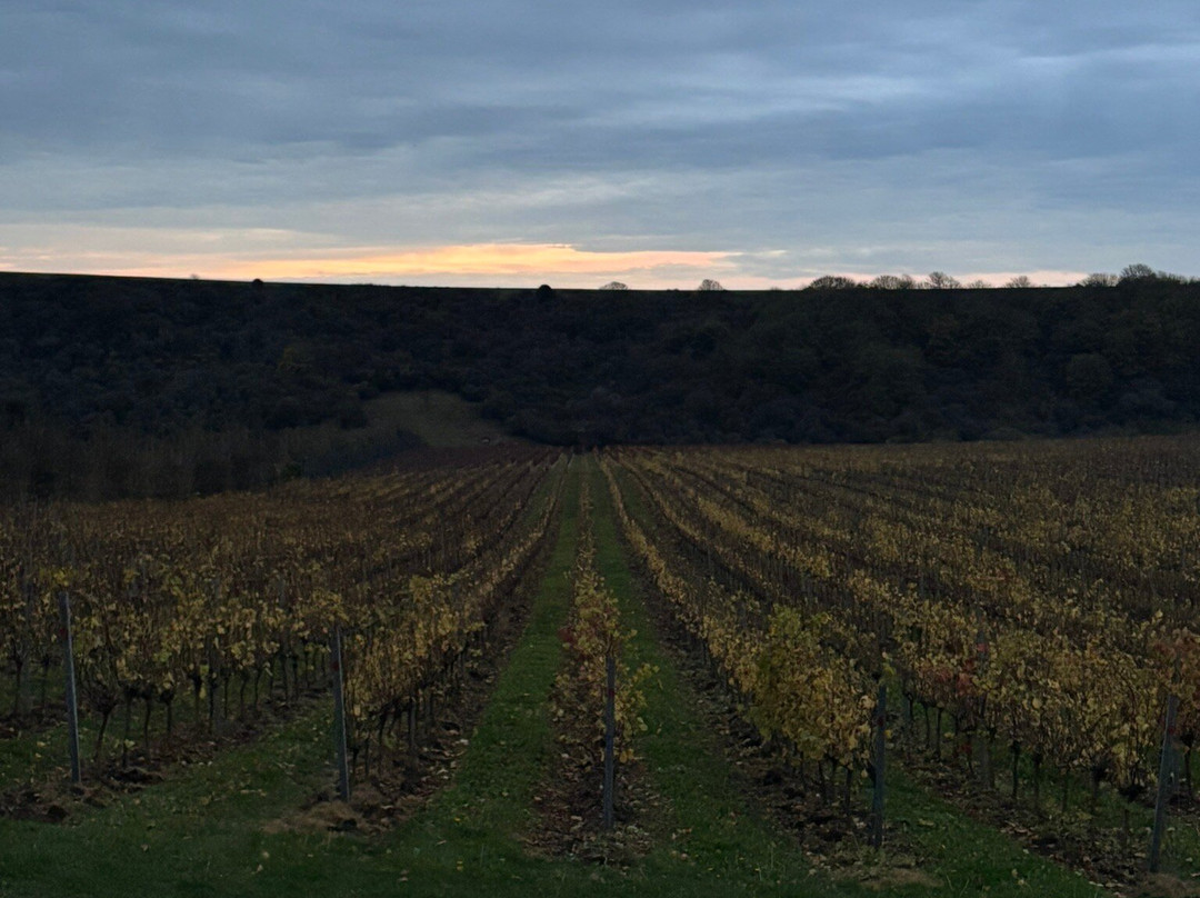 Rathfinny Wine Estate-Alfriston必去景点