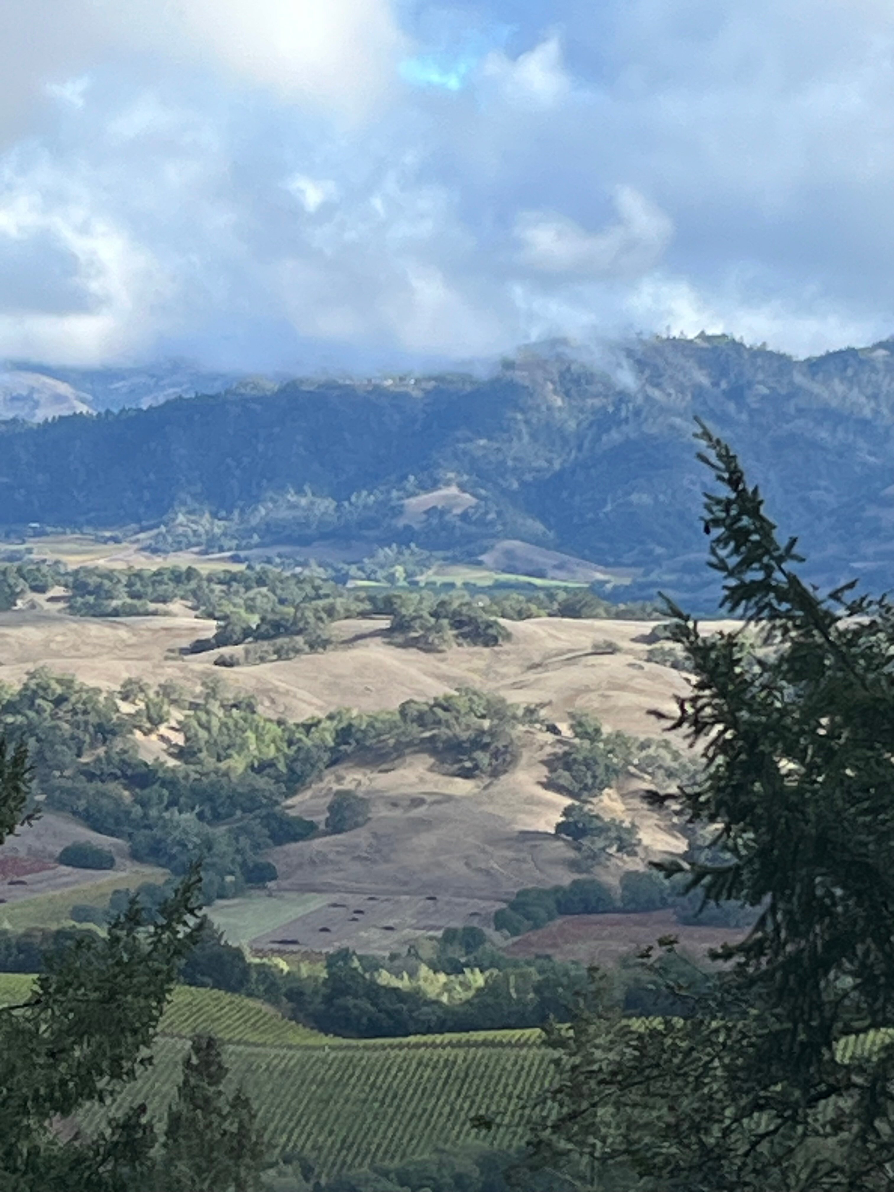 The Lodge at Healdsburg, Tapestry Collection by Hilton-官方