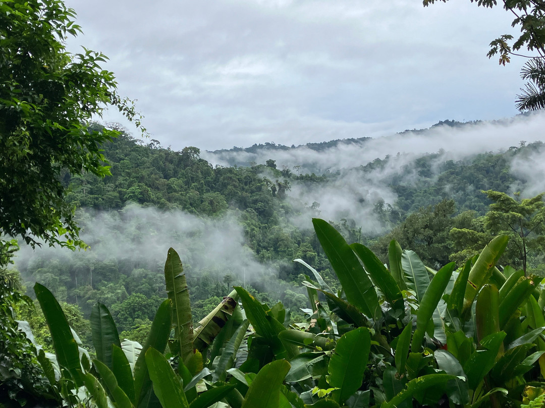 Finca Tres Equis - Farm and Forest