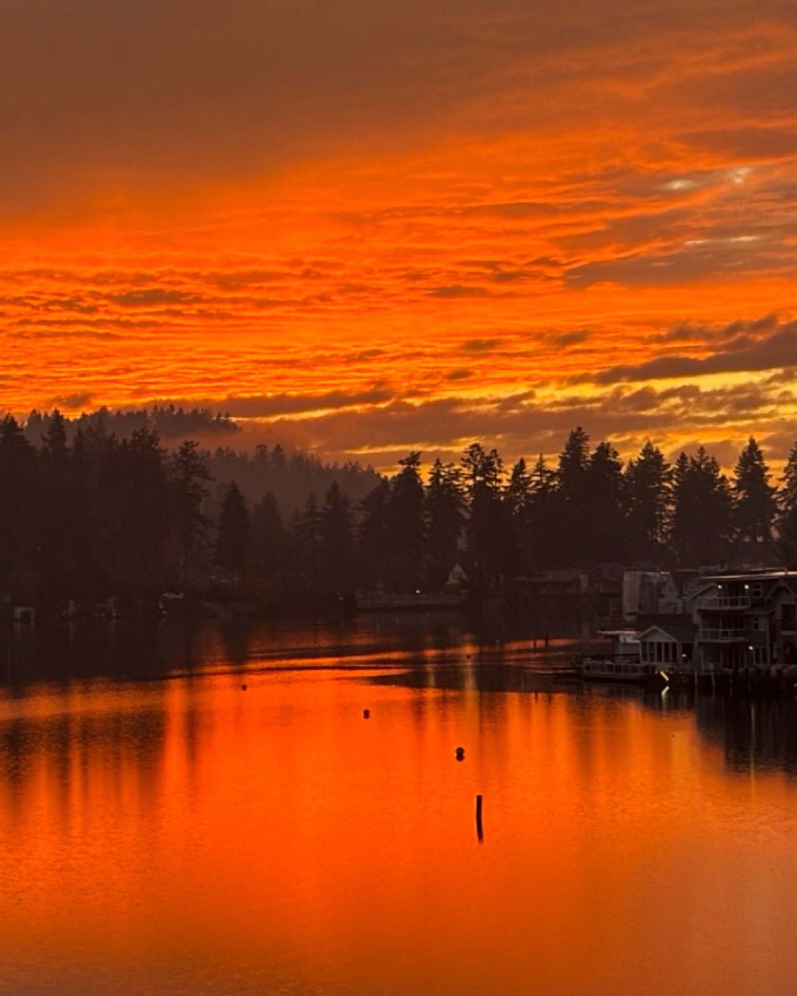 Lakeshore Inn-官方