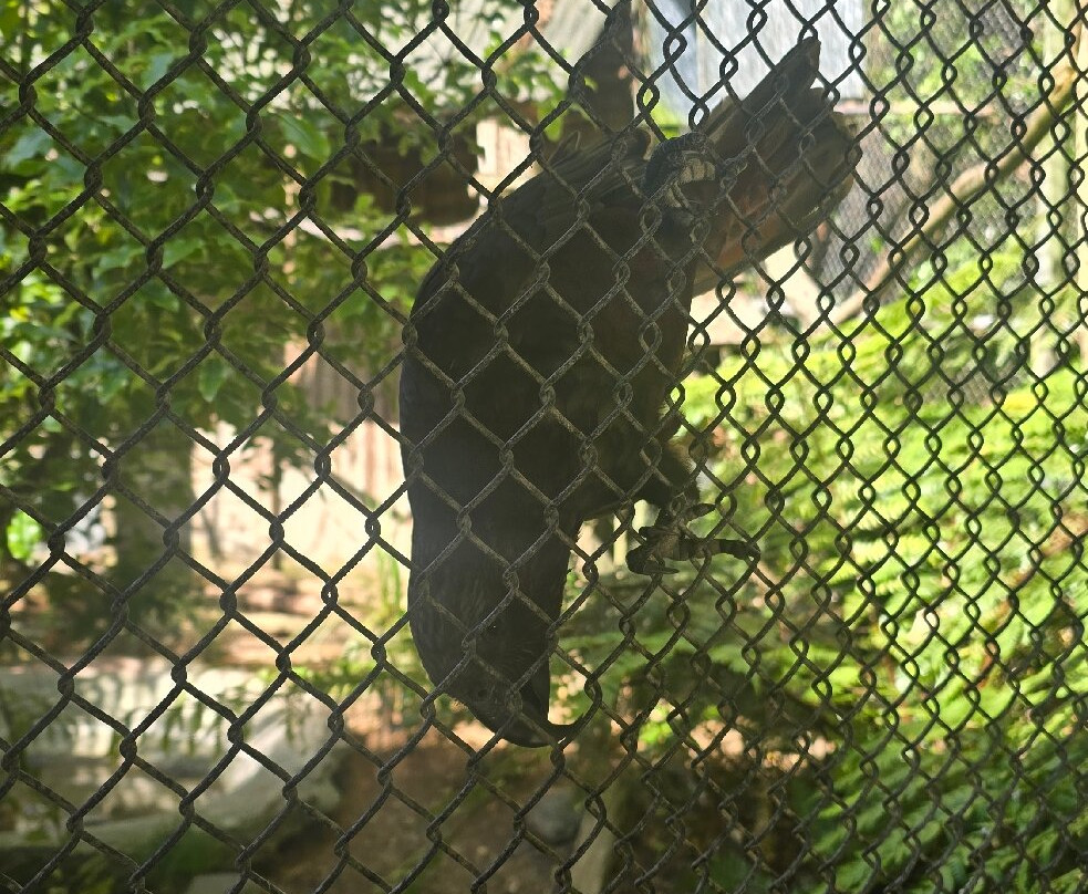 Ōtorohanga Kiwi House-奥托罗杭格必去景点