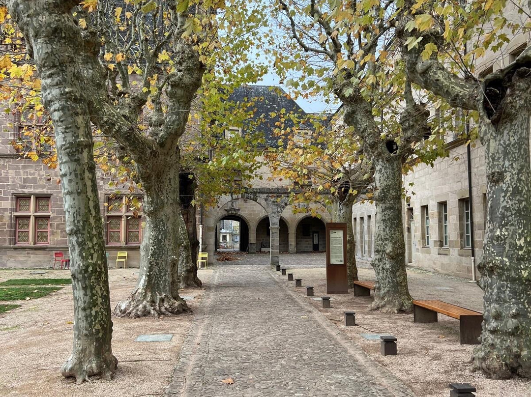 Musée Labenche-布里夫拉盖亚尔德必去景点