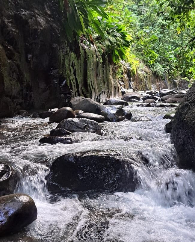 Canyon Moustique-Petit-Bourg必去景点