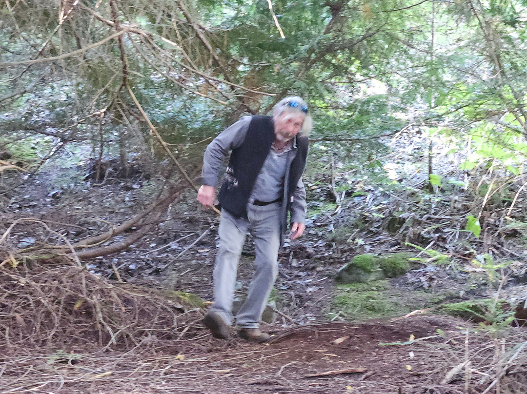 The Whistler Train Wreck Trail-惠斯勒必去景点