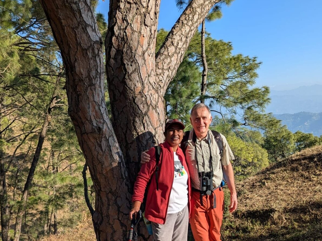 Kasauli Nature Walks With Vanita-Kasauli必去景点