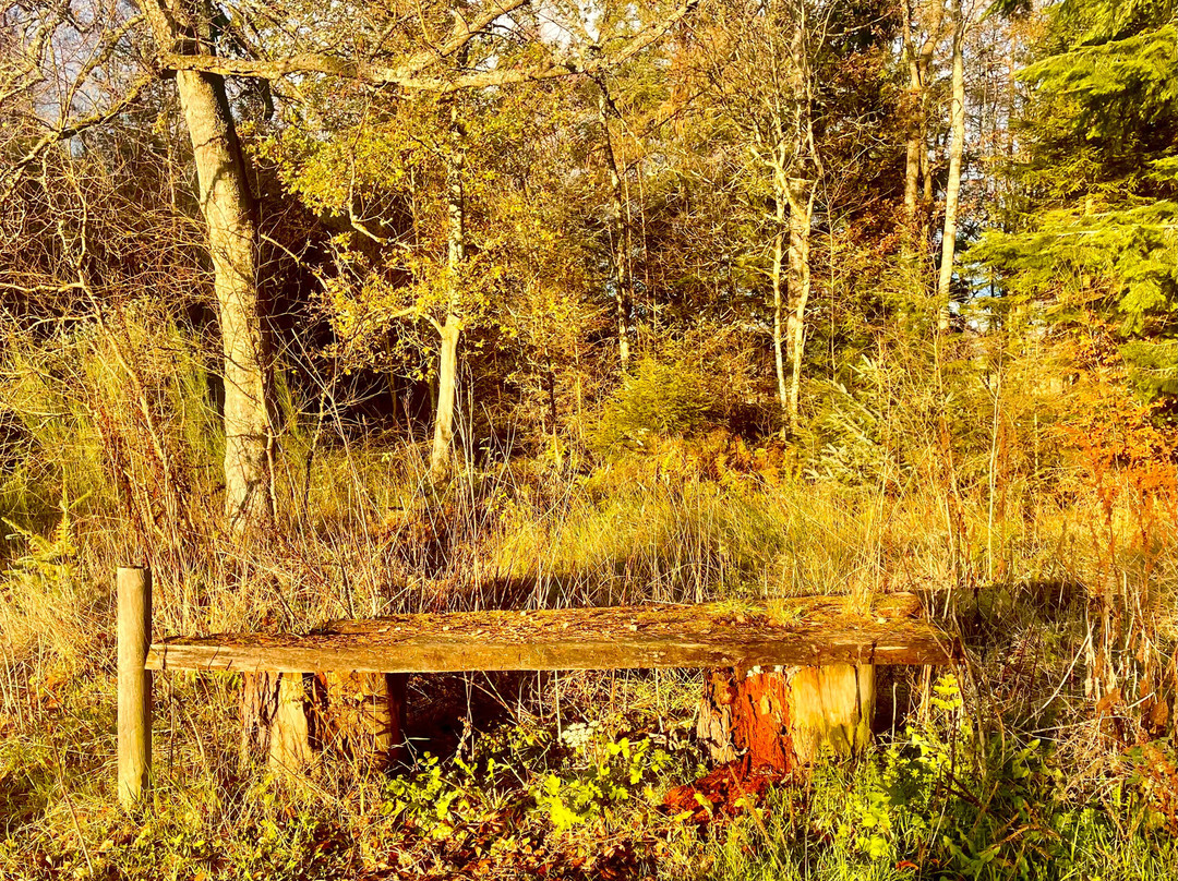 Templeton Woods-敦提必去景点