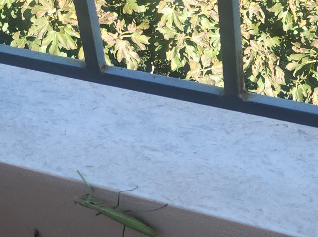 Sarandë-沙兰德必去景点