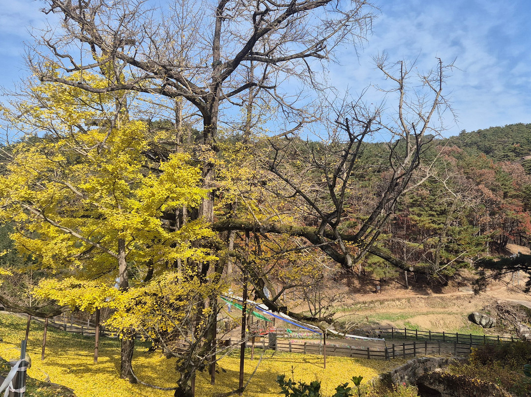 Yeongguksa-永同郡必去景点