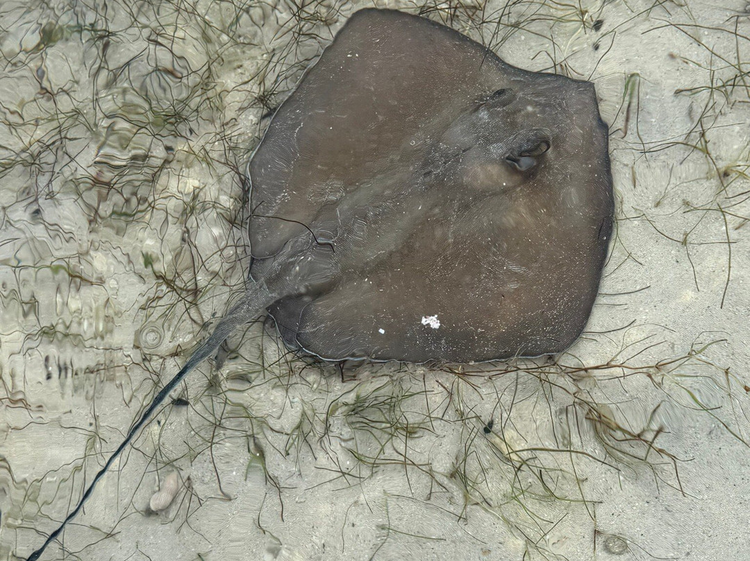 Joe Tourist Outdoor Adventures-乔治城必去景点