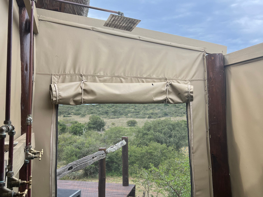 Bush Lodge Amakhala主图