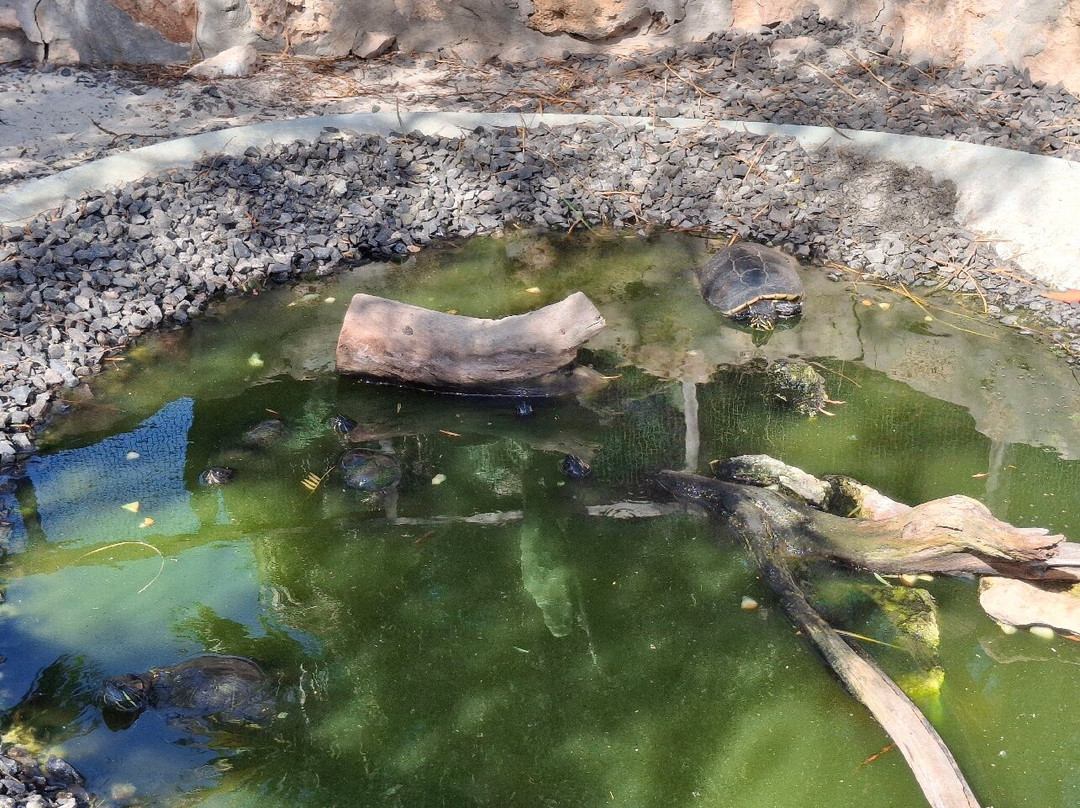 Viveiro, Botanical Garden & Zoo di Terra-圣塔玛丽亚必去景点